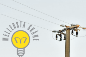 Nät-Pole-Logo2