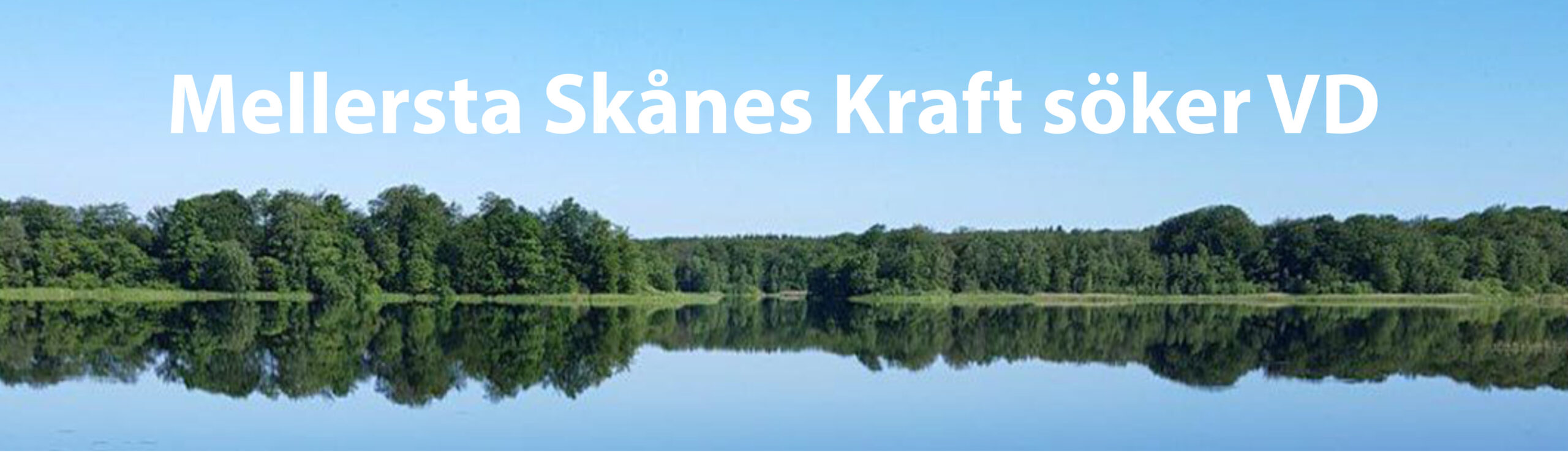 Bild till VD tjänst (störst)